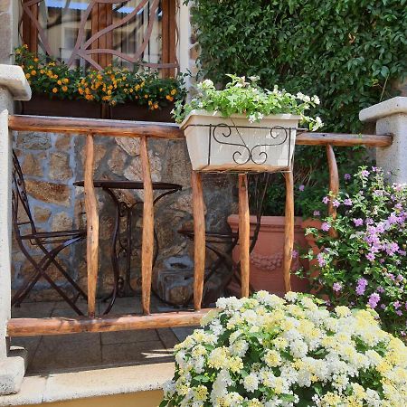 Al Pez Exclusive Rooms Ольбия Экстерьер фото