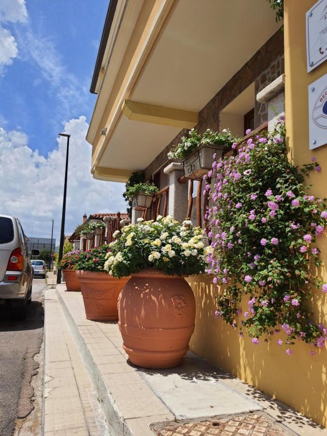 Al Pez Exclusive Rooms Ольбия Экстерьер фото