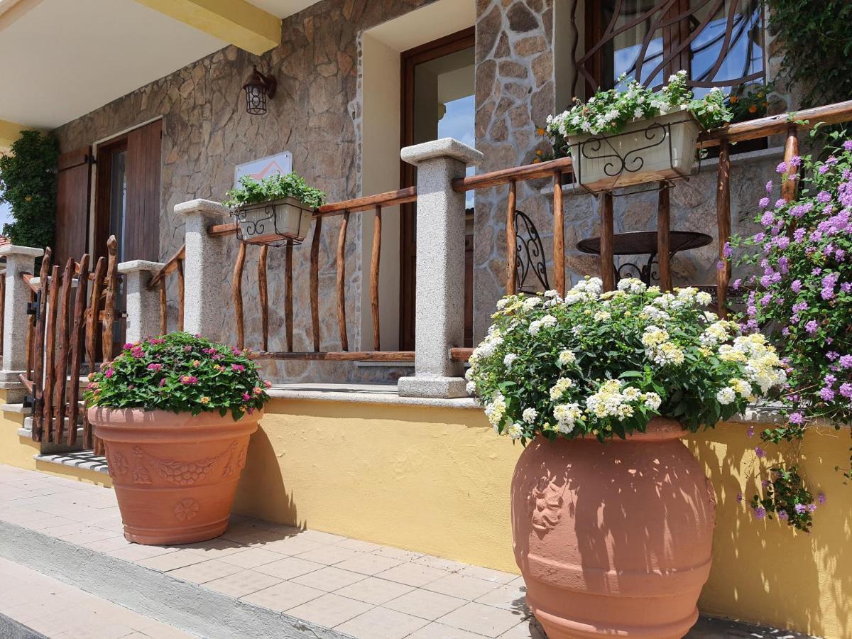 Al Pez Exclusive Rooms Ольбия Экстерьер фото